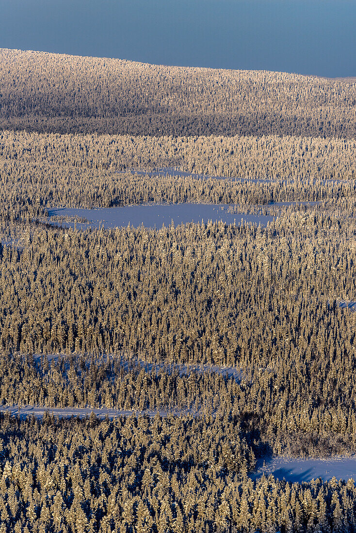 Blick vom Kuertunturi, Wanderung zum Kuertunturi, Landschaft bei Äkäslompolo,, Äkäslompolo, Finnland