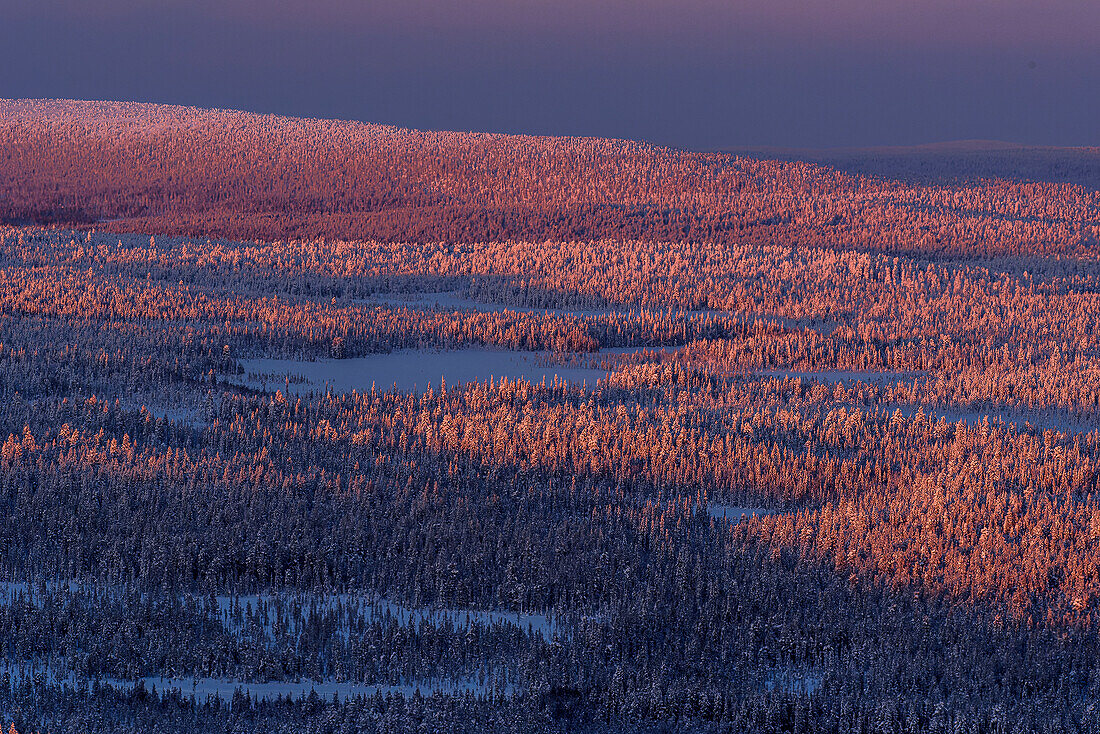 Blick vom Kuertunturi, Wanderung zum Kuertunturi, Landschaft bei Äkäslompolo, Äkäslompolo, Finnland