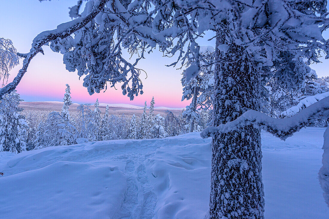 Blick vom Kuertunturi, Wanderung zum Kuertunturi, Landschaft bei Äkäslompolo, Äkäslompolo, Finnland