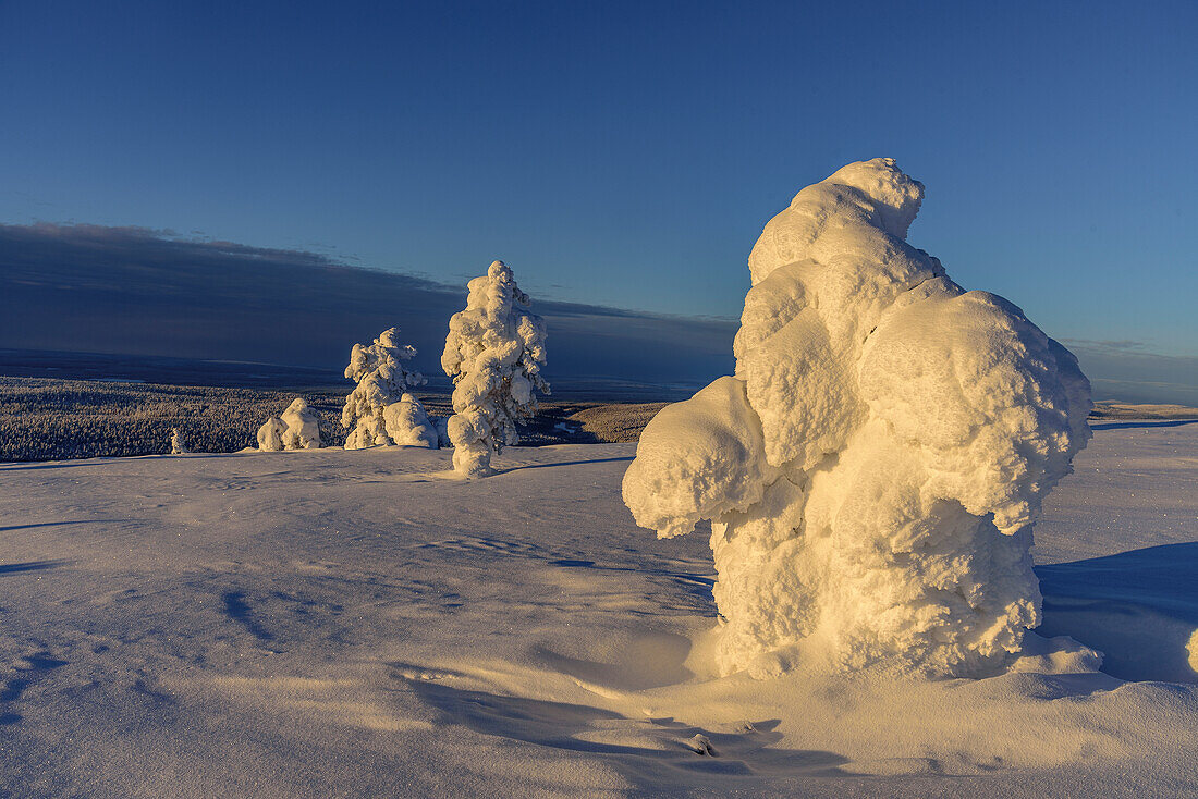 Blick vom Kukastunturi, Landschaft bei Äkäslompolo, Äkäslompolo, Finnland