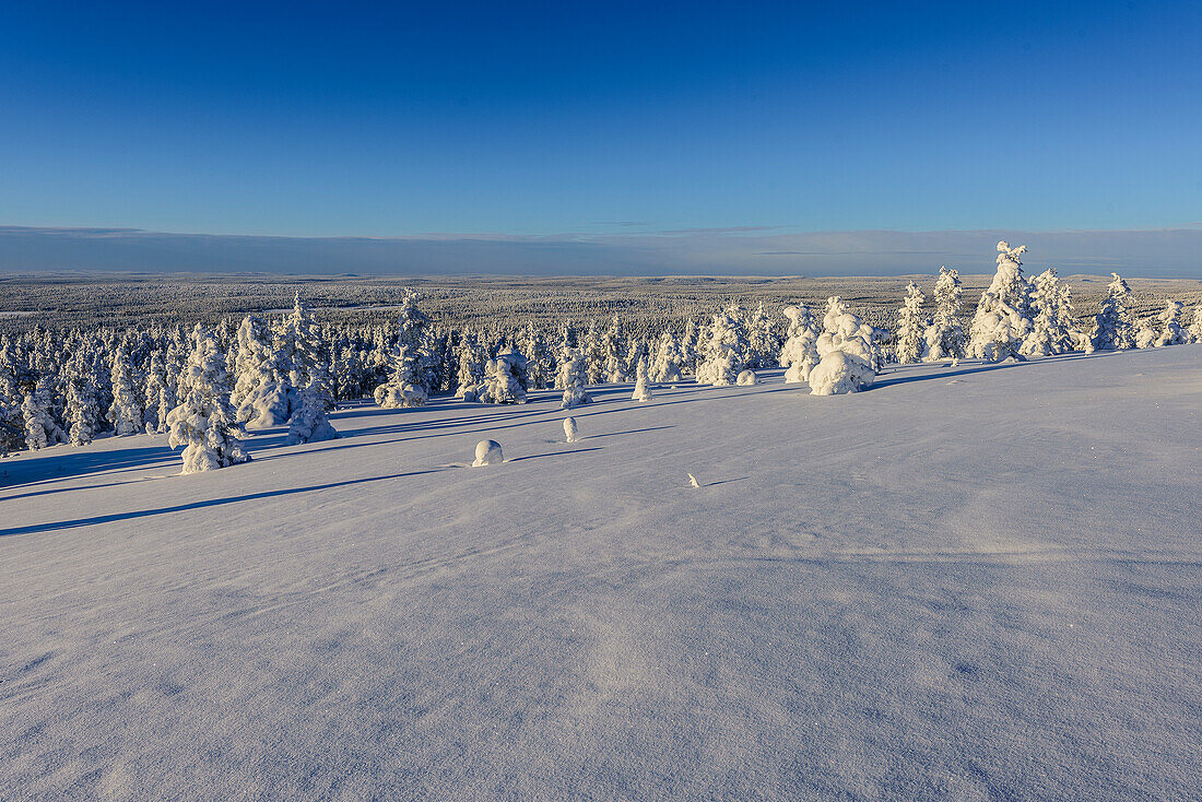 View from Kukastunturi, landscape at Aekaeslampolo,, Aekaeslampolo, Finland