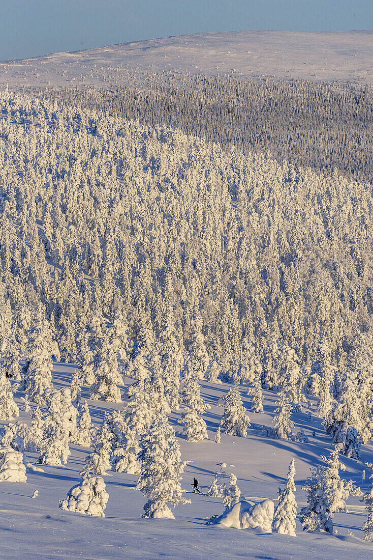 View from Kukastunturi, landscape at Aekaeslampolo, cross-country shore, Aekaeslampolo, Finland
