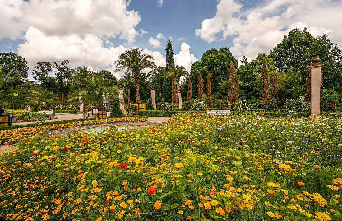 View to the palm garden in the spa gardens of Bad Pyrmont, Lower Saxony, Germany