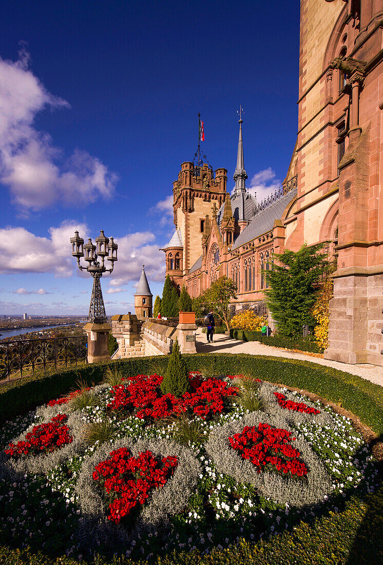 Terrace of Drachenfels Castle in Koenigswinter, Siebengebirge, Rhein-Sieg-Kreis, North Rhine-Westphalia, Germany