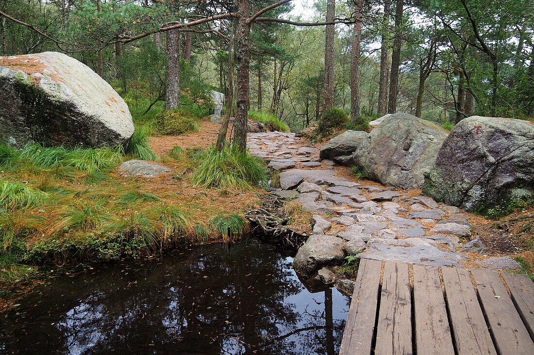 To Preikestolen near Stavanger, Norway