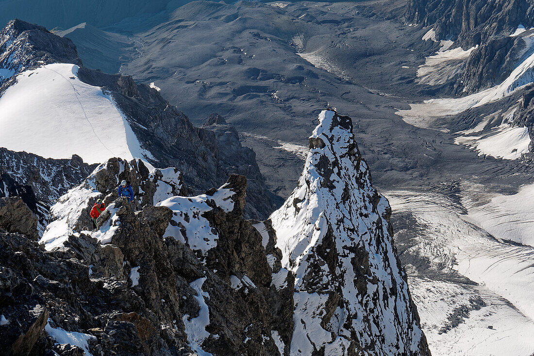 The last meters on the back ridge to the summit of the Ortler. Stelvio National Park, South Tyrol, Alto Adige, Italy.