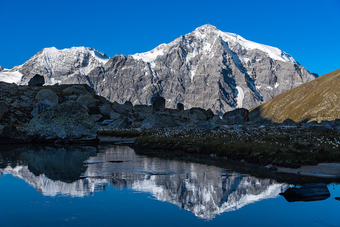 Reflection of Zebru and Ortler (right) in a small lake near the Düsseldorfer Hütte, Zaytal, Ortler area, Stelvio National Park, South Tyrol, Alto Adige, Italy