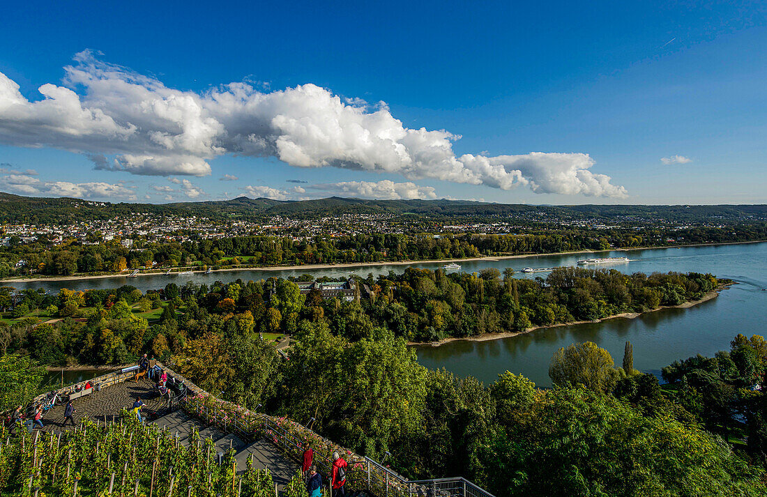 The Rhine island Nonnenwerth and the Rhine as seen from Rolandsbogen, Remagen, Ahrweiler district, Rhineland-Palatinate, Germany