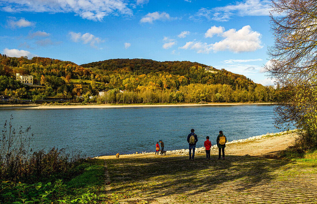 Wanderer am Rheinufer beim Rolandsbogen im Herbst, Remagen, Kreis Ahrweiler; Rheinland-Pfalz, Deutschland