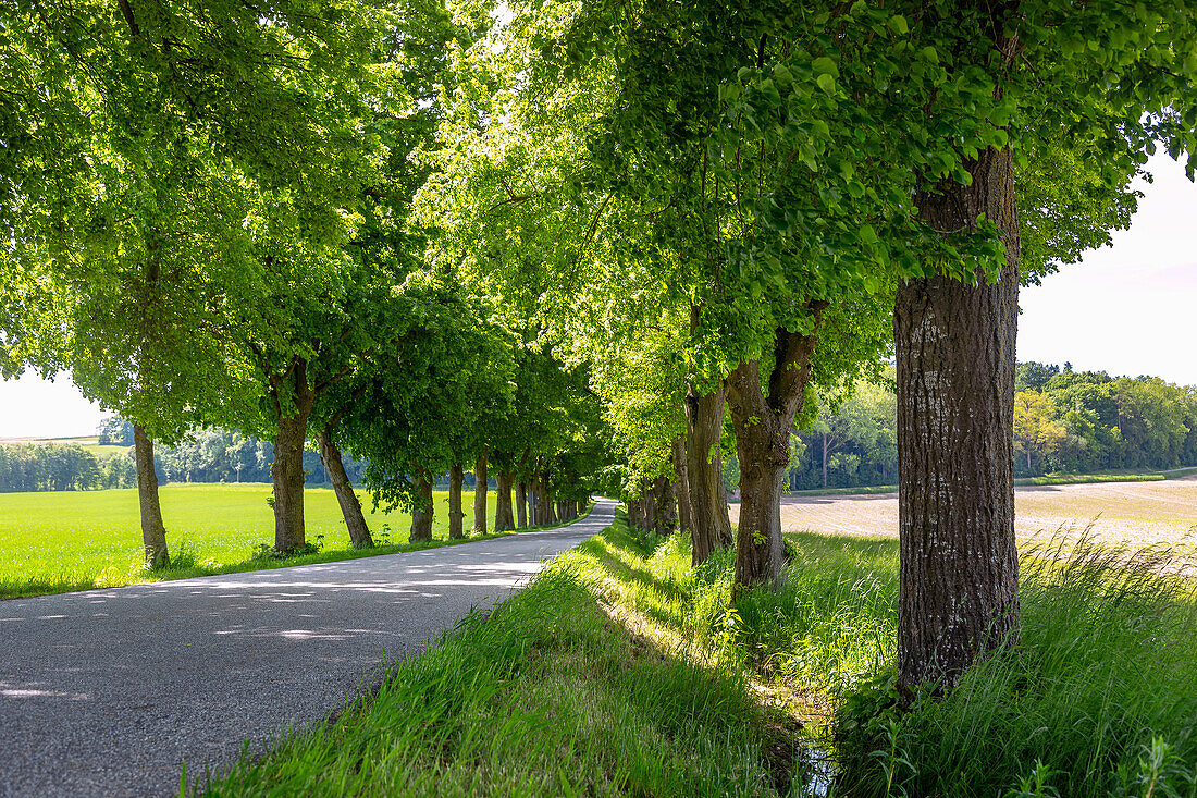 Adldorf, Schlossallee, Bayern, Deutschland