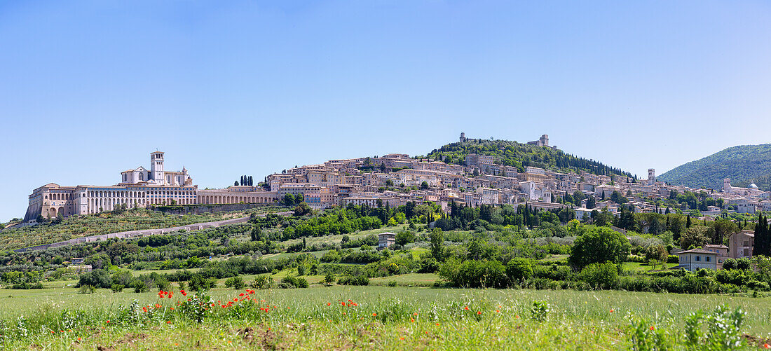 Assisi, Stadtansicht mit Basilika San Francesco, Panorama, Umbrien, Italien