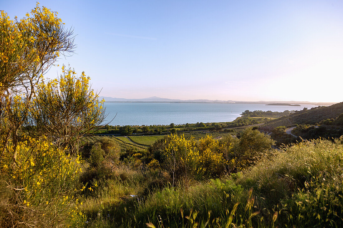 Lake Trasimeno, view from Castel Rigone