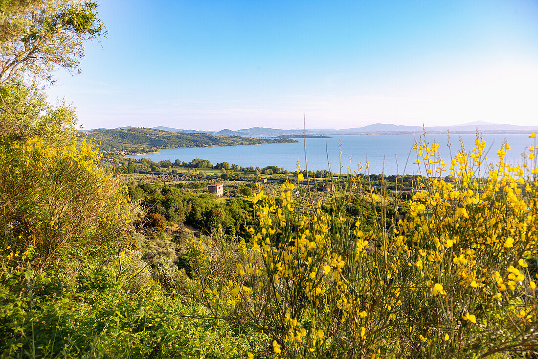 Lake Trasimeno, view from Castel Rigone