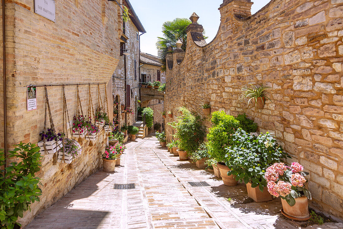 Spello; Via San Martino I; Altstadtgasse