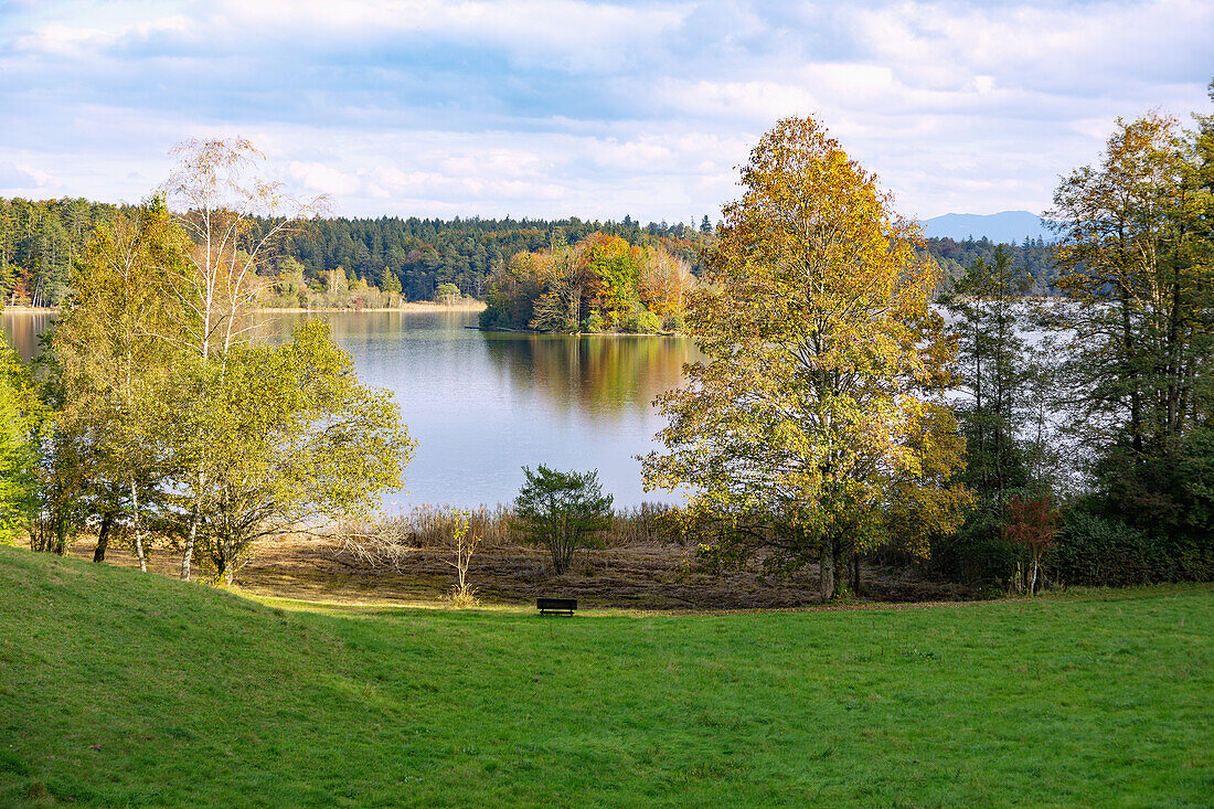 Großer Ostersee, nature reserve Osterseen