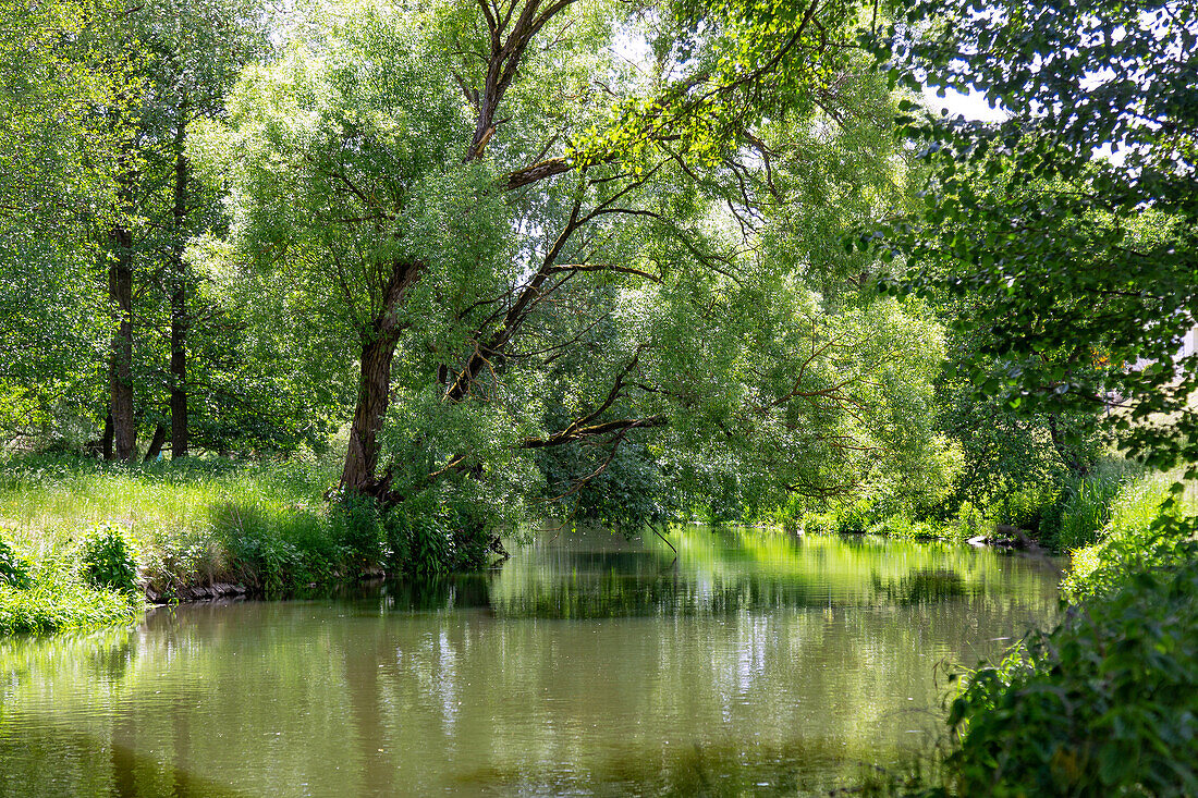 Vils near Ensdorf