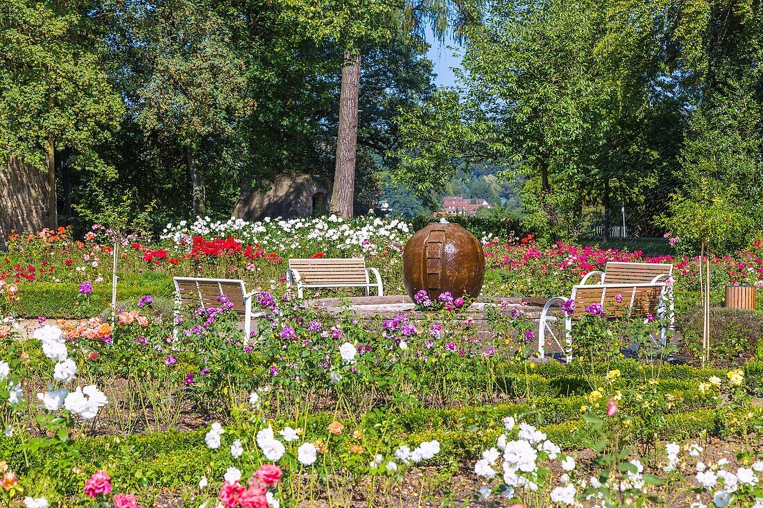 Marburg an der Lahn, landgrave castle, castle park, rose garden