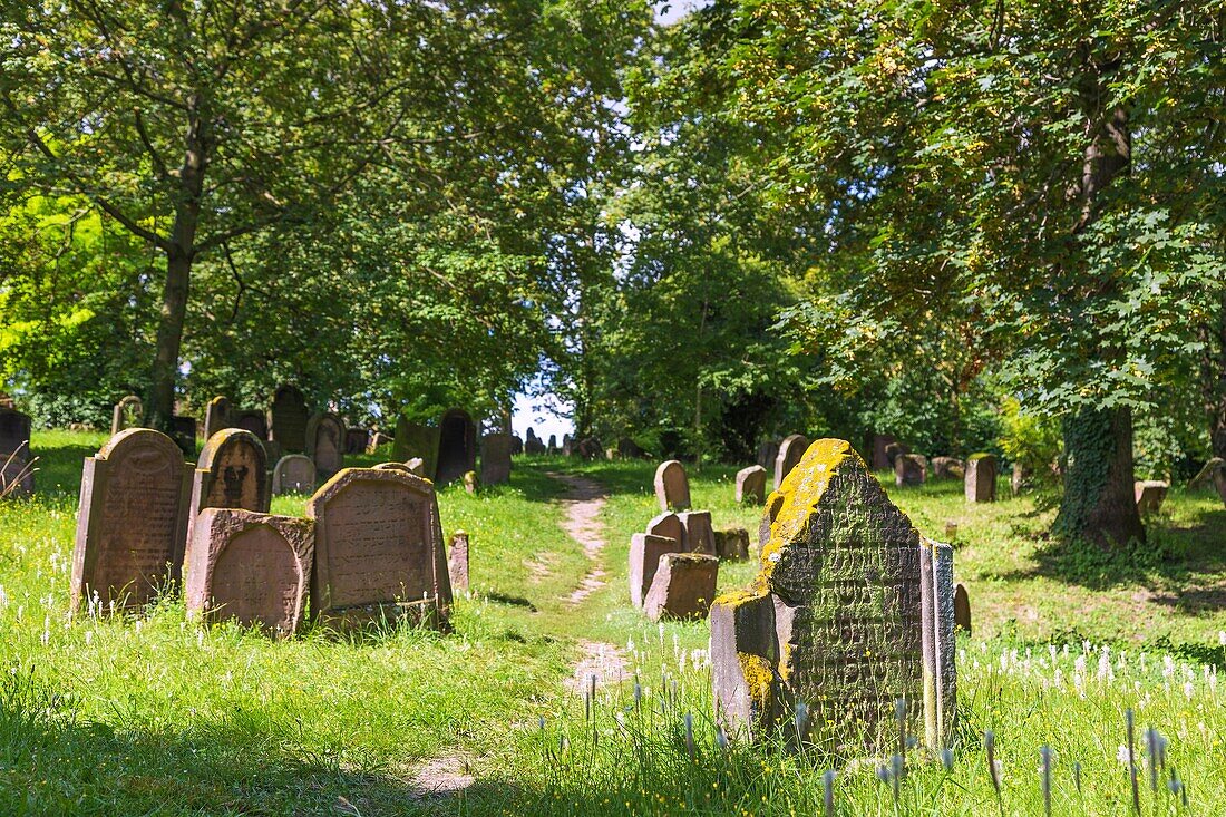 Worms, Jüdischer Friedhof Heiliger Sand, Grabsteine des 11.bis 13. Jahrhunderts, Rheinland-Pfalz, Deutschland