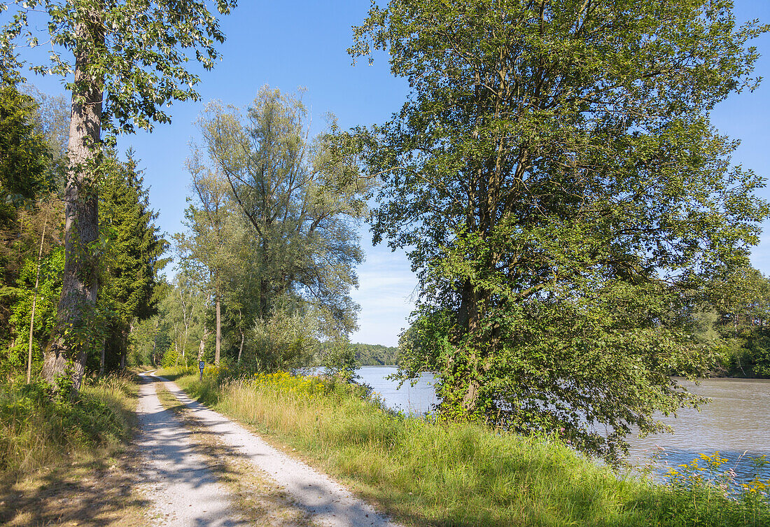 Innradweg zwischen Mühldorf und Marktl, Bayern, Deutschland