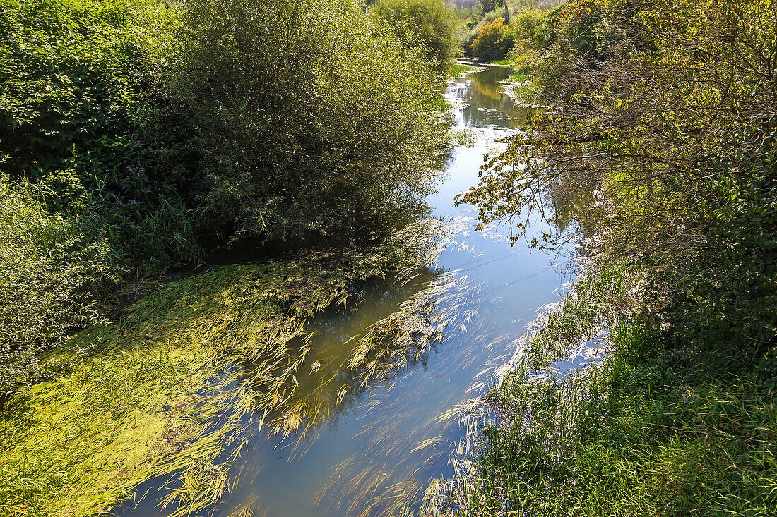 Rott, river idyll on the Inn Cycle Path near Neuhaus am Inn