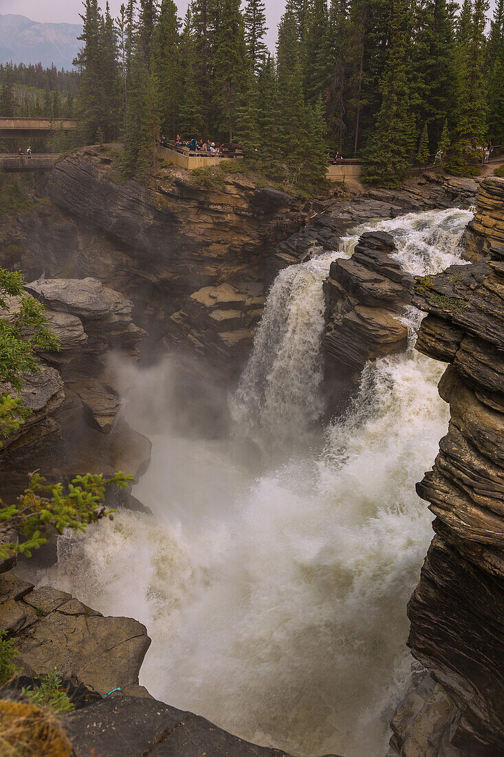 Jasper National Park, Athabasca Falls, Alberta, Kanada