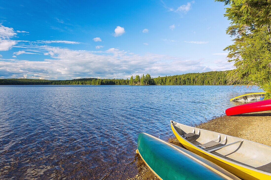 Algonquin Provincial Park, Canisbay Lake, canoes