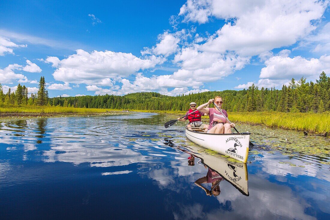 Algonquin Provincial Park, Opeongo Lake, Kanus, Ontario, Kanada