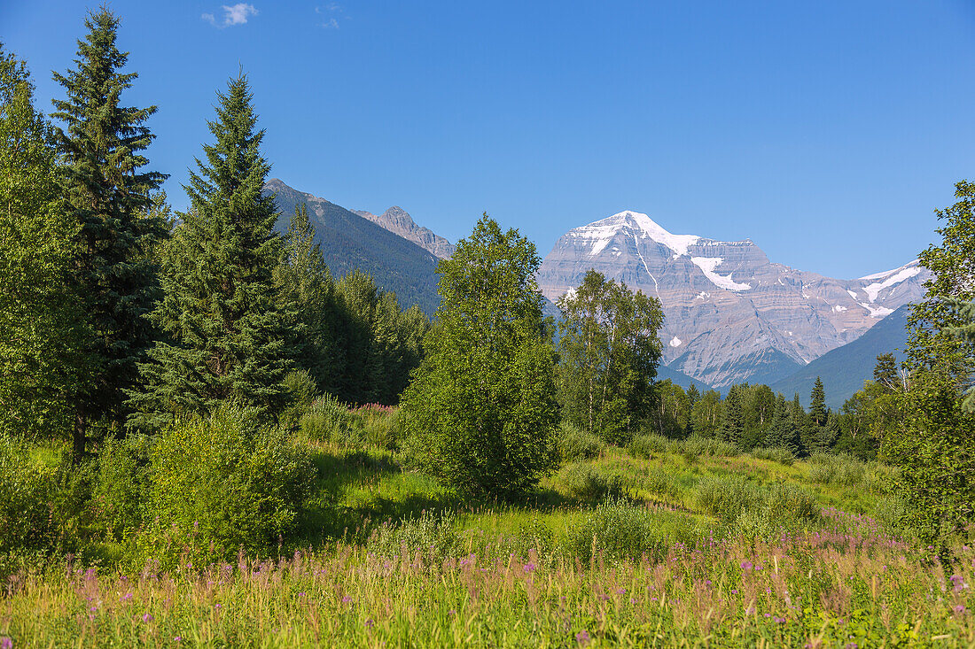 Mount Robson Provincial Park, Mount Robson
