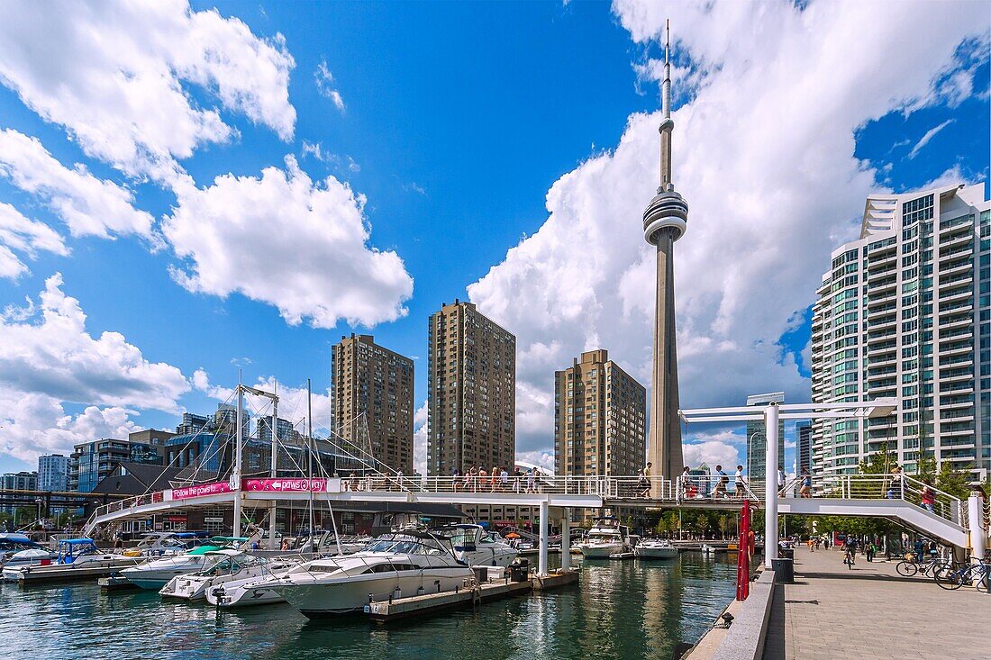 Toronto, The Waterfront, Harbourfront, Queen's Quay West, Blick auf CN Tower, Ontario, Kanada