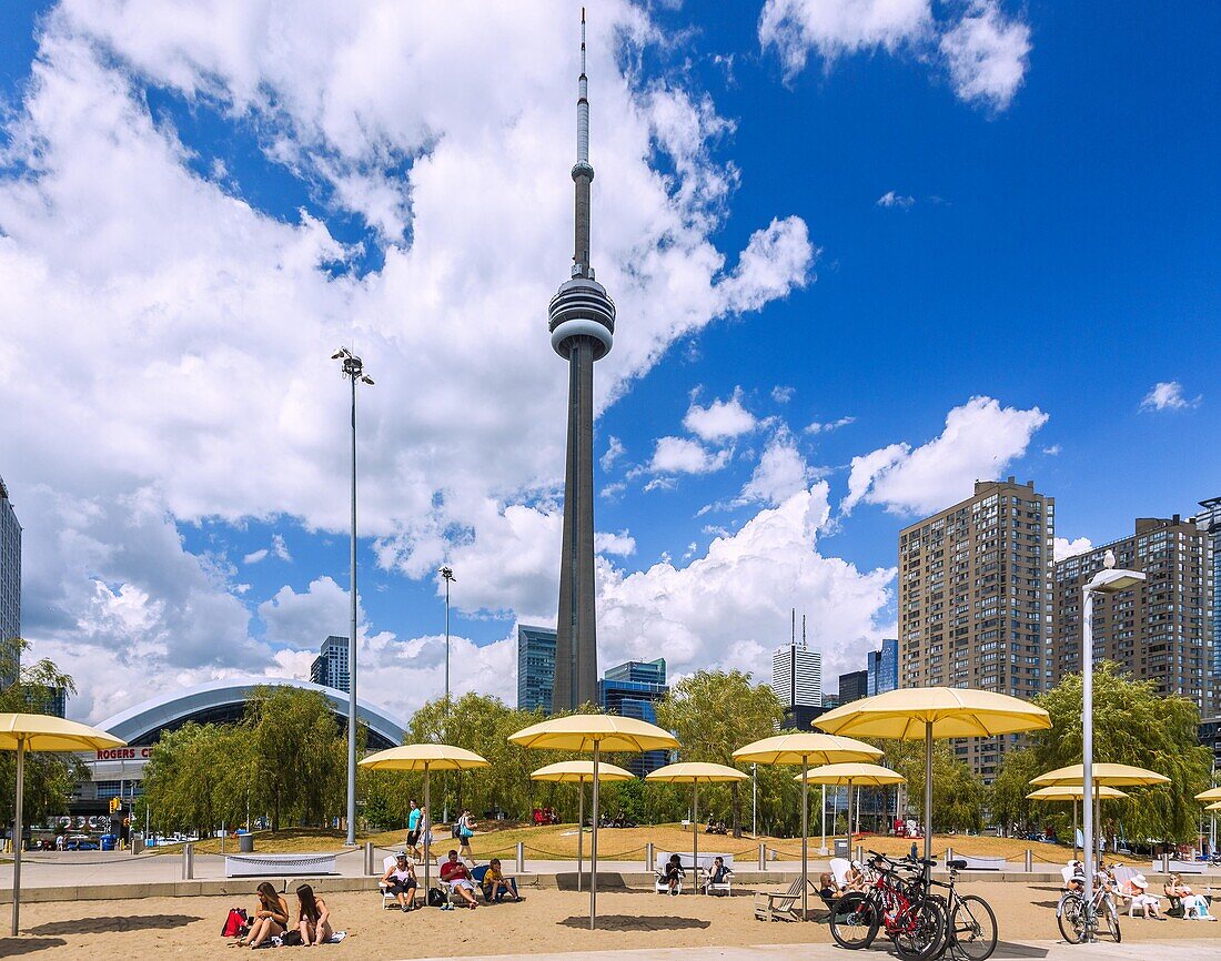 Toronto, The Waterfront, Harbourfront, Queen's Quay West, Blick auf CN Tower, Ontario, Kanada