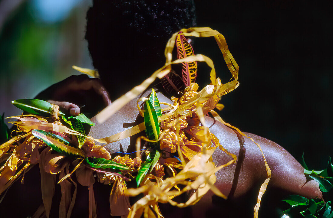 Rückansicht des männlichen fidschianischen Tänzers in traditioneller Kleidung - Kopf und Schultern