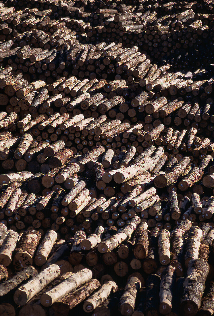 Luftaufnahme von für den Export gestapelten Baumstämmen