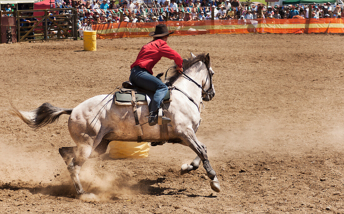 Fassrennen beim Rodeo