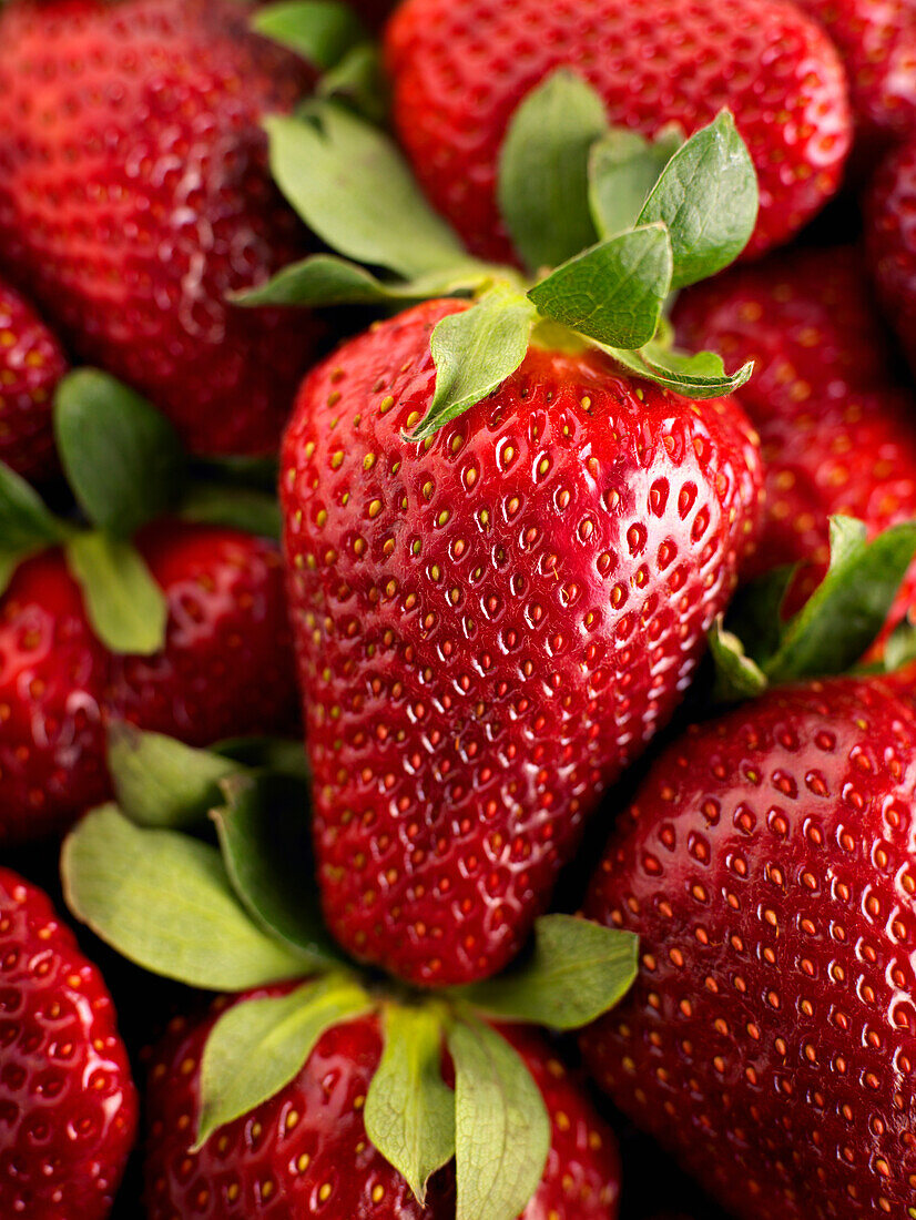 Nahaufnahme von reifen Erdbeeren