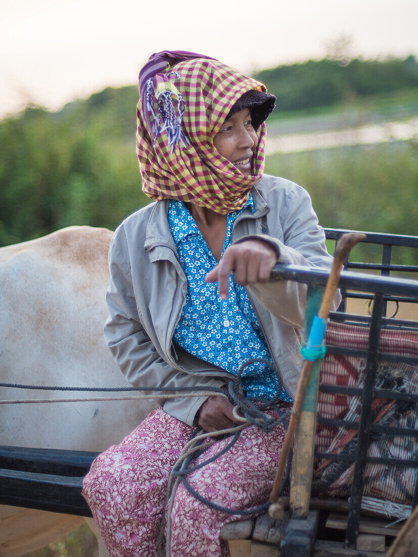 Ox cart driver in Cambodia