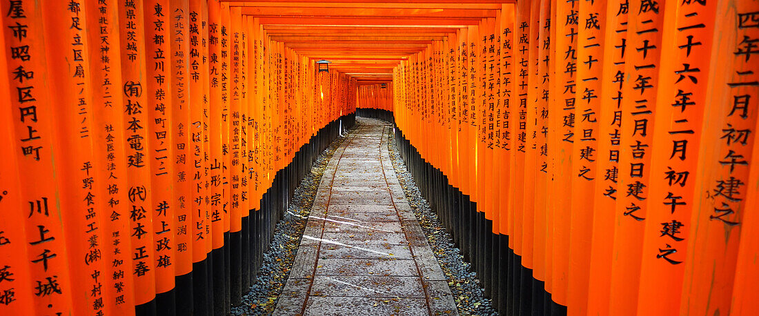 Kyoto-Schrein Japan