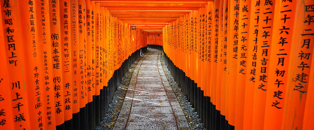 Kyoto shrine Japan