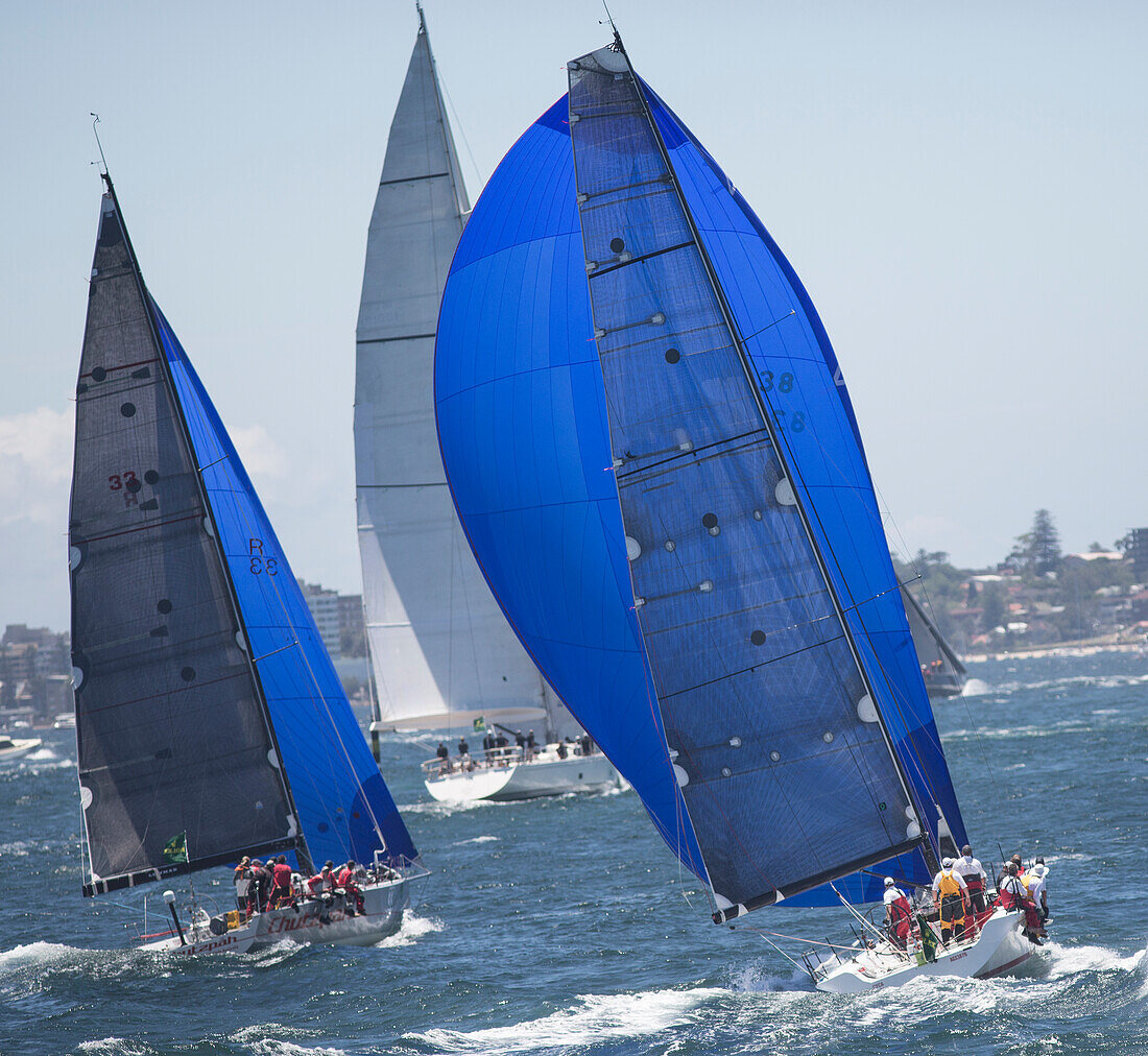 Start des Rennens von Sydney nach Hobart.