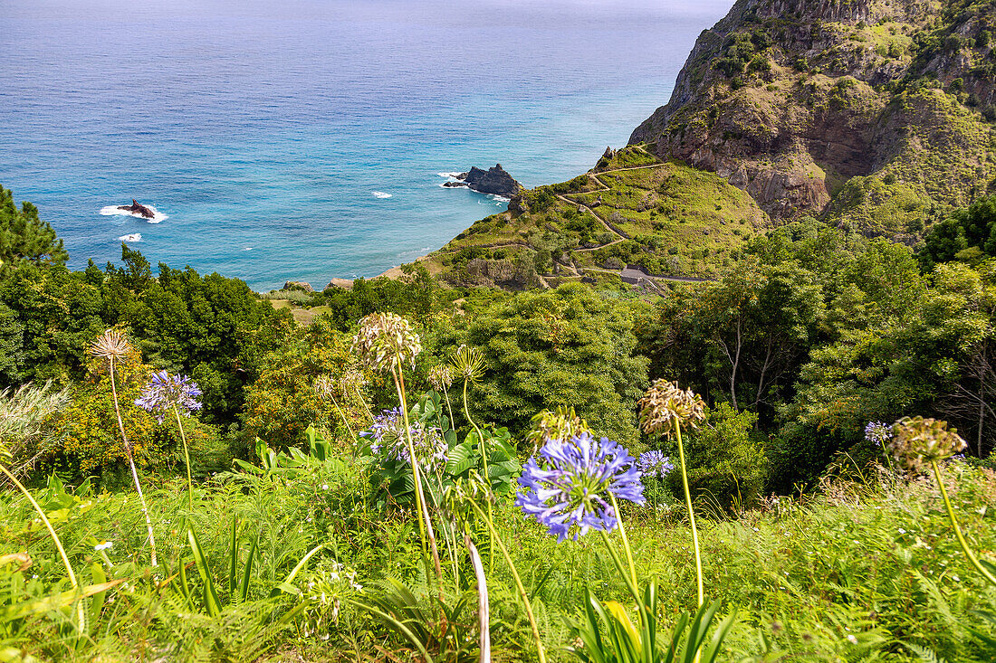Nordküste, Ausblick von Miradouro Sao Cristovao bei Boaventura, portugiesische Insel Madeira, Portugal