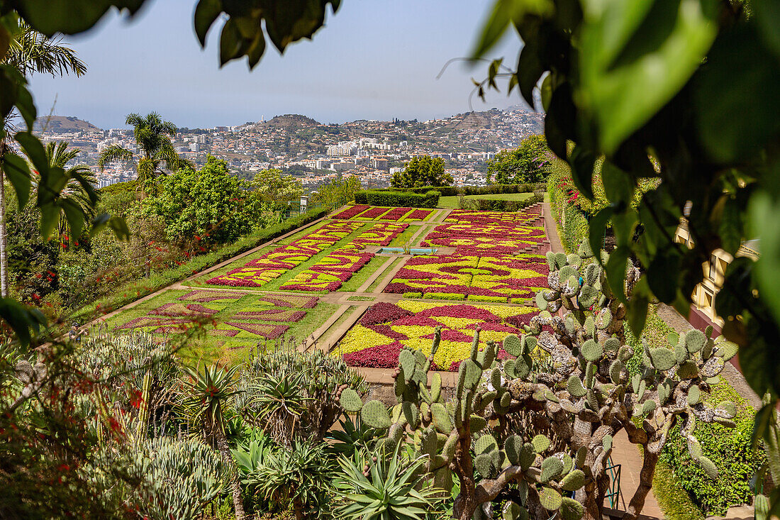 Jardim Botanico da Madeira, Funchal, Jardins Coreografados