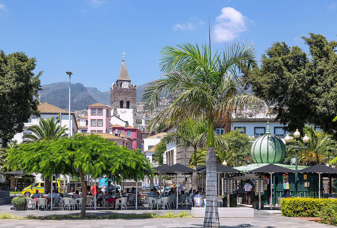Funchal; Avenida do Mar, Catedral Sé do Funchal, portugiesische Insel Madeira, Portugal