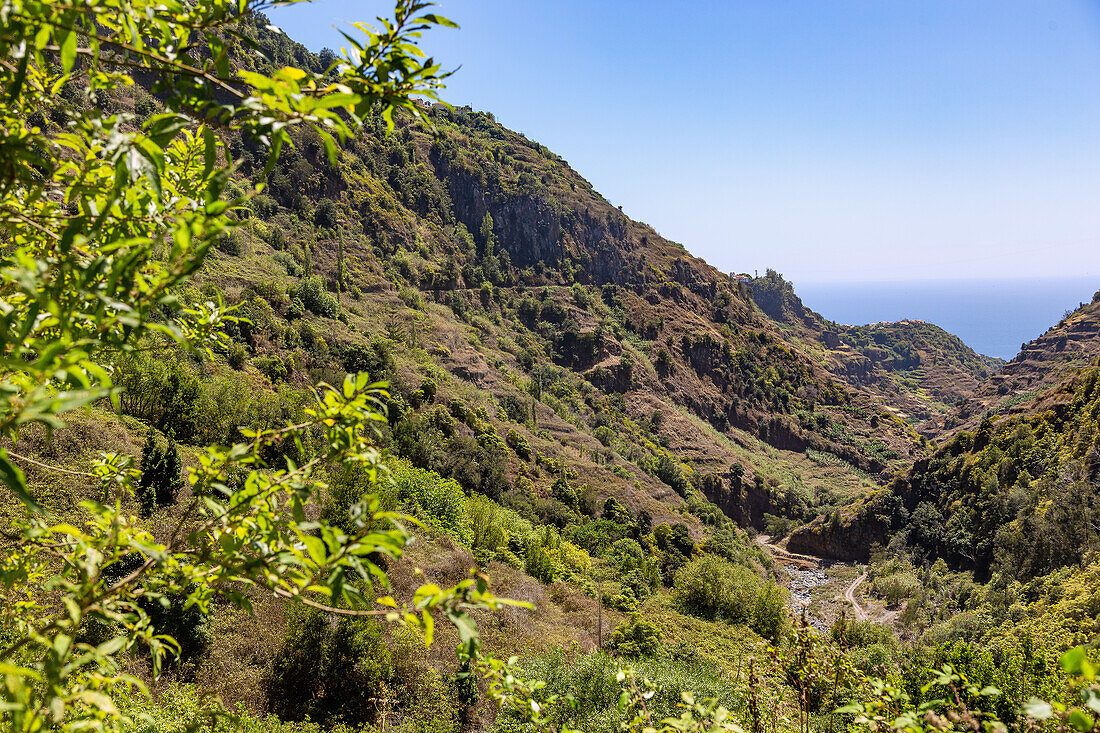 Levada do Moinho; Riberia da Ponta do Sol