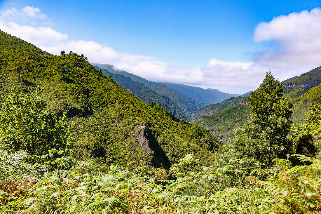 Levada do Risco, view of Ribeira Grande