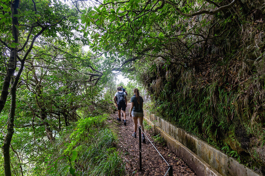 Levada do Furado, Ribeiro Frio, Lorbeerwald, Wanderer, portugiesische Insel Madeira, Portugal