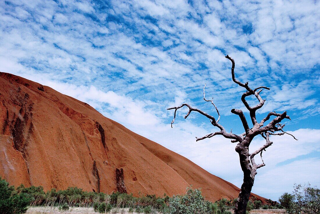 Sandstone rock formations, Uluru, Uluru-Kata Tjuta National Park, Northern Territory, Australia
