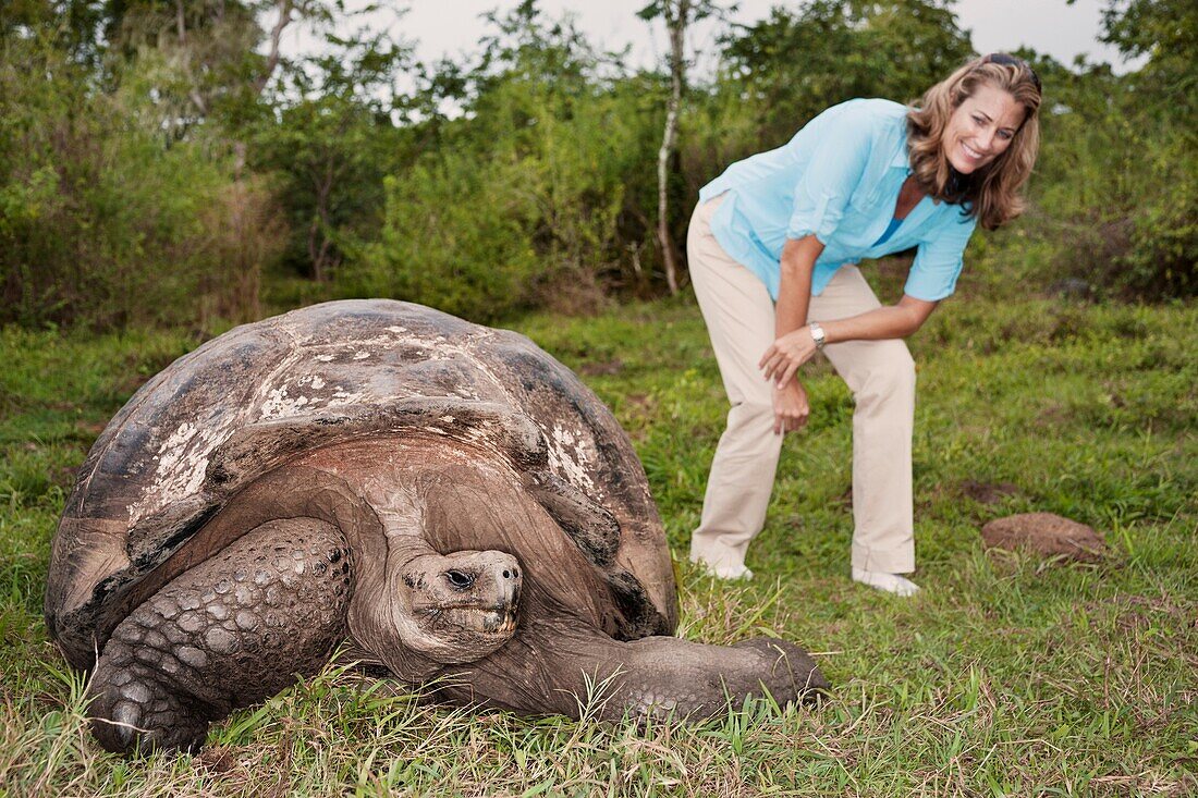 Ecuador, Galapagos Islands, Woman standing in grass near giant tortoise