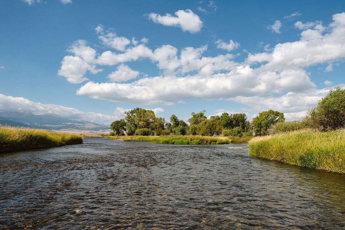 Fliegenfischen POV mit Blick auf einen Fluss.