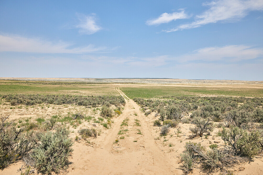 Eine unbefestigte Straße im Ah-shi-sle-pah Wilderness Study Area in New Mexico. Das Gebiet liegt im Nordwesten von New Mexico und ist ein Badland-Gebiet mit sanften, wassergeschnitzten Lehmhügeln. Es ist eine Landschaft aus Sandsteinfelsen und malerischen olivfarbenen Hügeln. Wasser in diesem Bereich ist knapp und es gibt keine Wanderwege; Die Gegend ist jedoch landschaftlich reizvoll und enthält sanfte Farben, die anderswo selten zu sehen sind