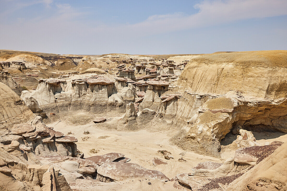 Weite Aufnahme einer Sandstein-Hoodoo-Landschaft im Ah-shi-sle-pah Wilderness Study Area in New Mexico. Das Gebiet liegt im Nordwesten von New Mexico und ist ein Badland-Gebiet mit sanften, wassergeschnitzten Lehmhügeln. Es ist eine Landschaft aus Sandsteinfelsen und malerischen olivfarbenen Hügeln. Wasser in diesem Bereich ist knapp und es gibt keine Wanderwege; Die Gegend ist jedoch landschaftlich reizvoll und enthält sanfte Farben, die anderswo selten zu sehen sind