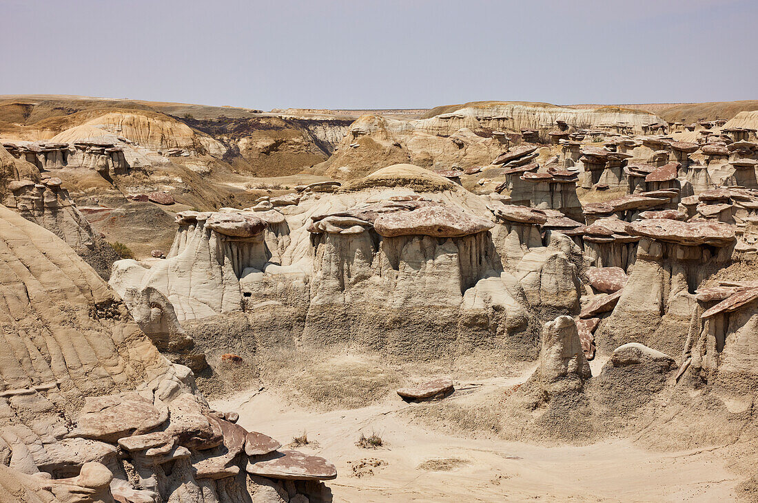 Sandstein-Hoodoos in der Ah-shi-sle-pah Wilderness Study Area in New Mexico. Das Gebiet befindet sich im Nordwesten New Mexicos und ist ein Badland-Gebiet mit sanften, vom Wasser geformten Lehmhügeln. Es ist eine Landschaft mit Sandsteinfelsen und malerischen olivfarbenen Hügeln. In diesem Gebiet gibt es nur wenig Wasser und keine Wanderwege, aber die Landschaft ist malerisch und bietet sanfte Farben, wie man sie sonst nur selten sieht